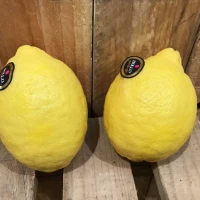 Citron jaune (le lot de 2)