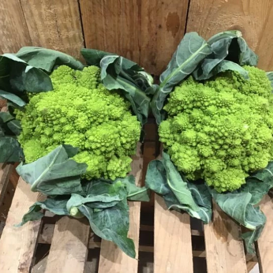 Chou romanesco